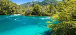 Parque Nacional Los Alerces: Una joya natural de la Patagonia que no te puedes perder
