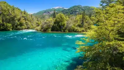 Parque Nacional Los Alerces: Una joya natural de la Patagonia que no te puedes perder