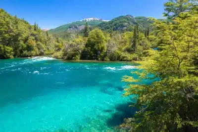 Parque Nacional Los Alerces: Una joya natural de la Patagonia que no te puedes perder