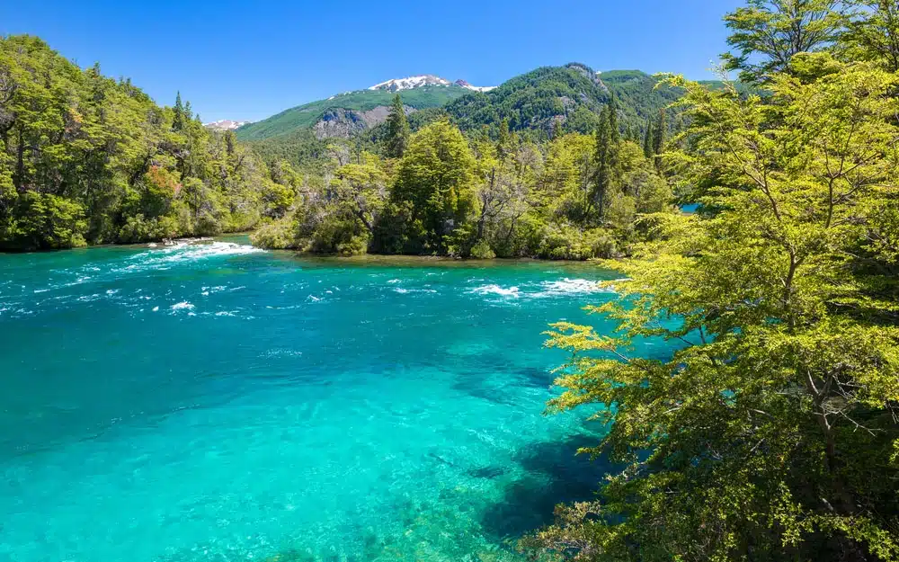 Parque Nacional Los Alerces: Una joya natural de la Patagonia que no te puedes perder