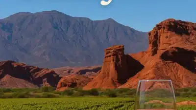 Viñedos verdes en Cafayate con formaciones rocosas rojizas al fondo y una copa de vino tinto en primer plano bajo un cielo azul intenso.